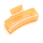 LargeJellyClawClipSetof43