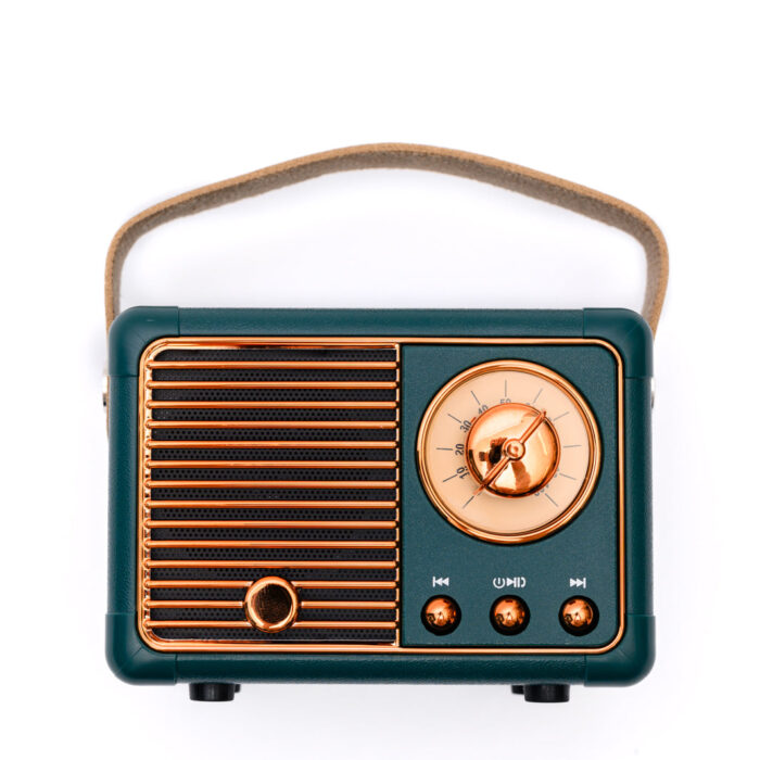 YourPlaylistMiniBluetoothSpeakerinGreen1_4b433884-fe96-4e04-87cf-0e1e229822f7