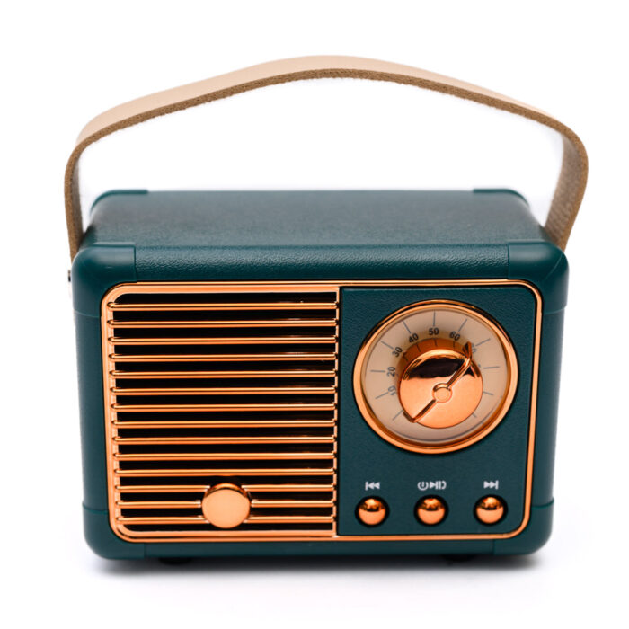 YourPlaylistMiniBluetoothSpeakerinGreen2